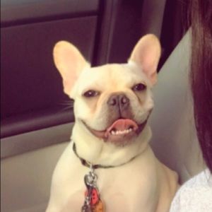 Meet your Posher, Arch